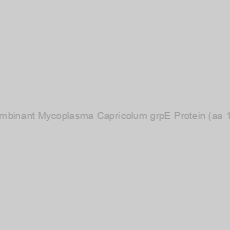 Image of Recombinant Mycoplasma Capricolum grpE Protein (aa 1-200)